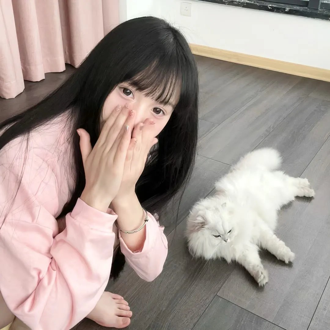 白色相簿第二季